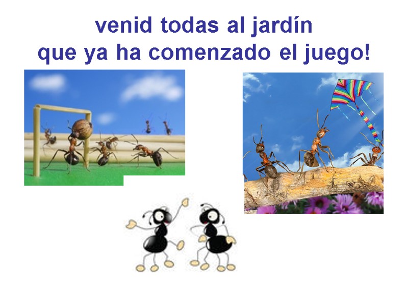 venid todas al jardín que ya ha comenzado el juego!